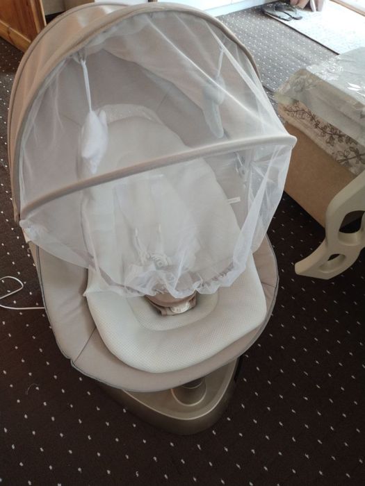 Электронный жизлон