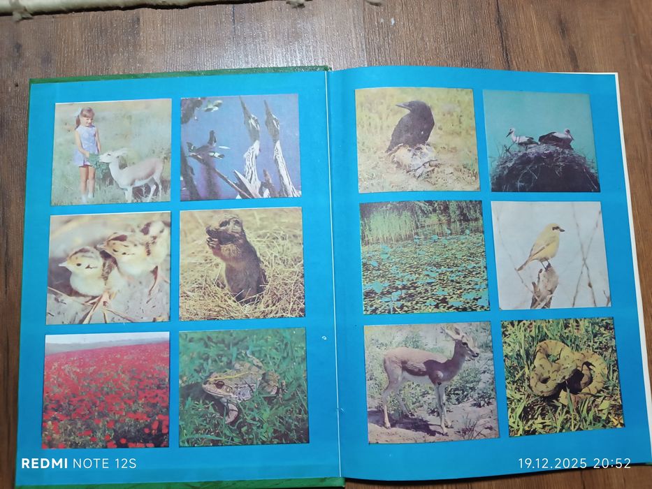 Книга.Животный мир Узбекистан а