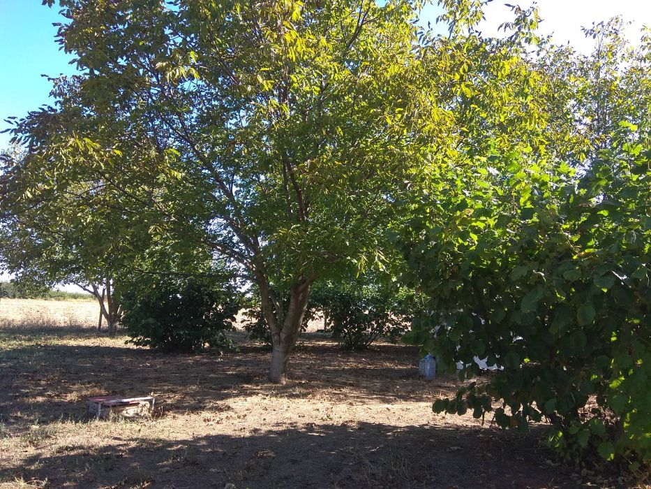 Продава се Земеделски имот в Шумен, Център -  кв.м за 3060 €/дка - Снимка #1