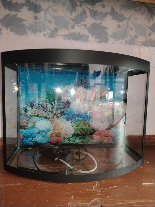 Срочно Продаётся аквариум 30л