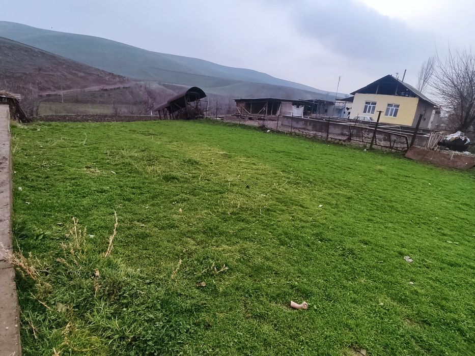 Hovli sotiladi moydon tol Toğ yolida
