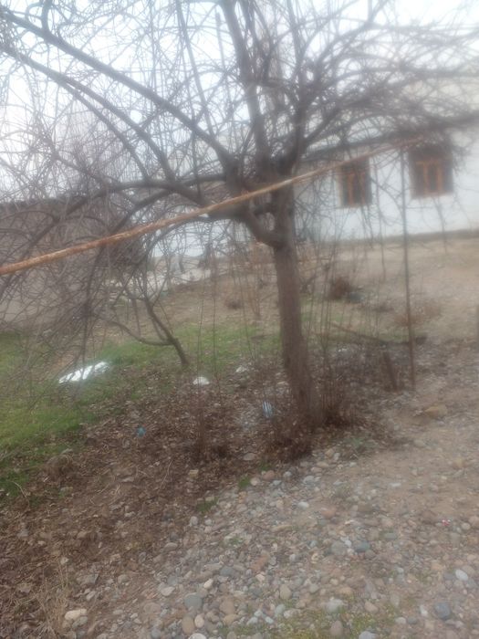 Уй сотилади срочно