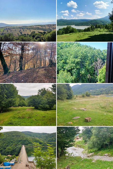 Teren 6000mp cu Lac | Valea Uzului | Zonă Turistică de Top | Utilități în dezvoltare
