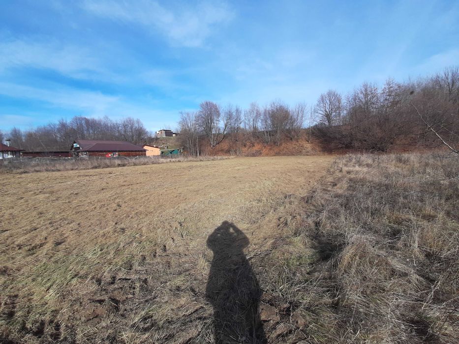 Teren 5000 mp extravilan, langa Pastravaria Cracaoani, 4 euro neg