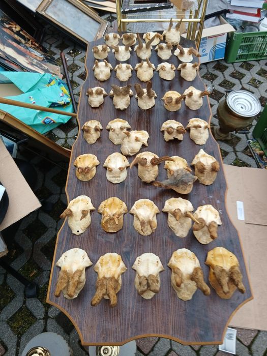 Vand decoratiuni pentru foiṣor