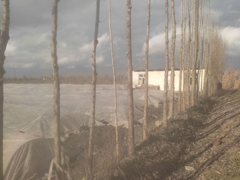 13 000 $. Uchastka sotiladi!