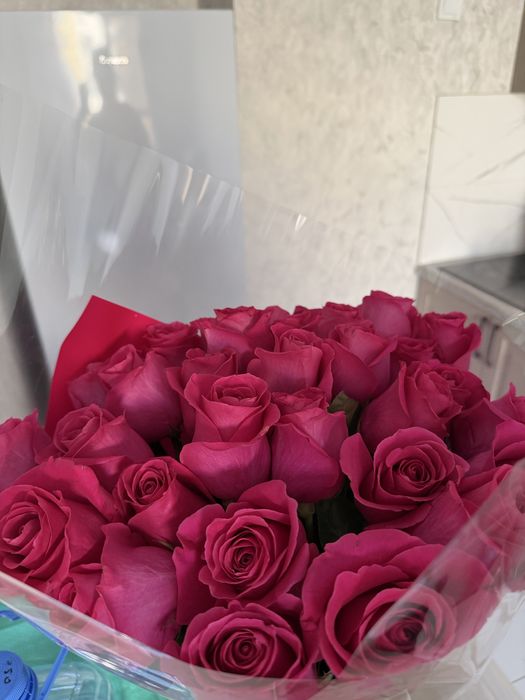 дд!Продам цветы , в хорошем состоянии