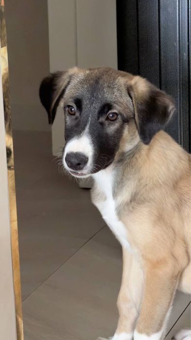 Мальчишке нужен дом!