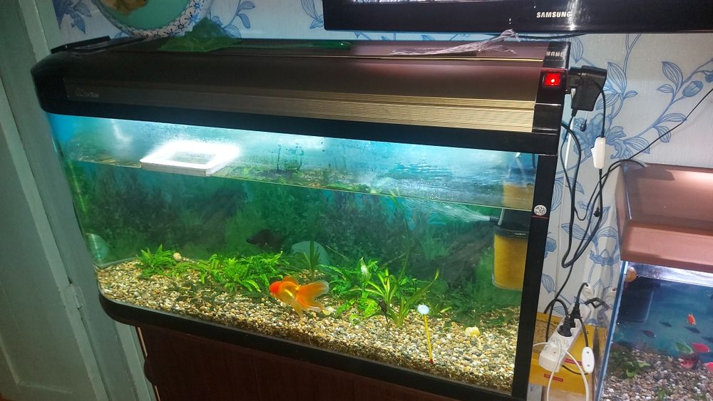 Продам Аквариум 280 литров