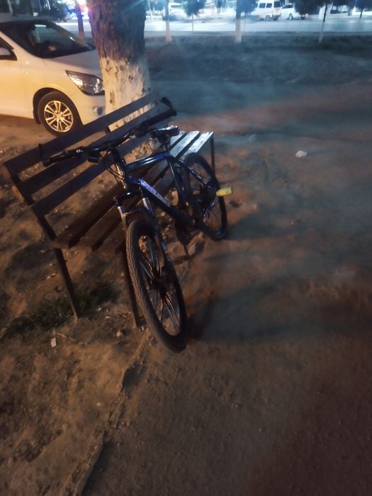 Pellones skorisney velik