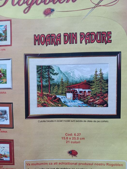 Diagrame cu ațe pentru goblen de Focșani