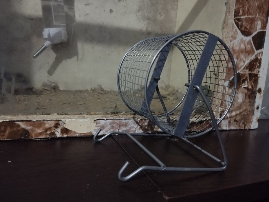 Поилка,Миска,Колесо