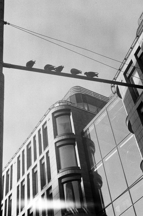 Obiectiv foto Jupiter-8 5cm F2 - montura LTM L39