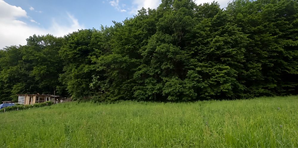Teren de VIS la marginea padurii (langa Cluj) - 1000 mp | Utilitati la teren | Direct Proprietar | 65.000 €