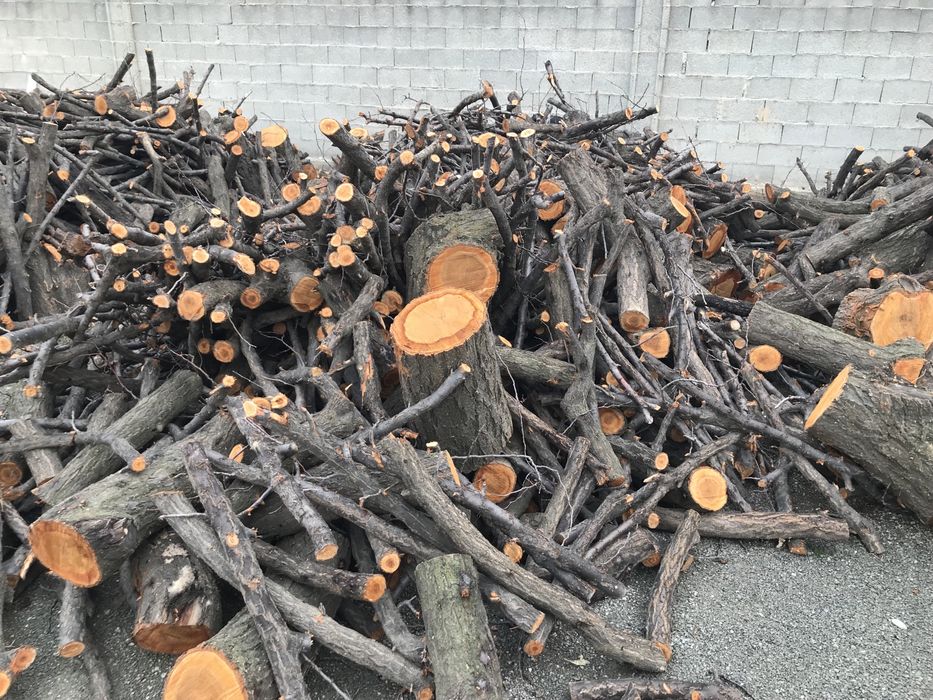 Otin sotiladi bir mawina 53 da chiqadi manzil:andijon tumani xrabekdan