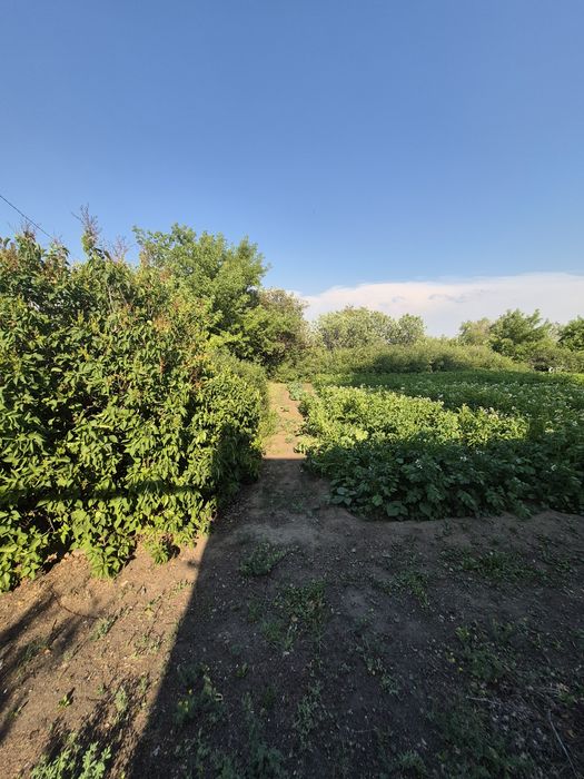 Дача плодородная