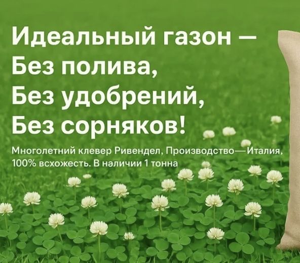 Семена газона Клевер белый ползучий