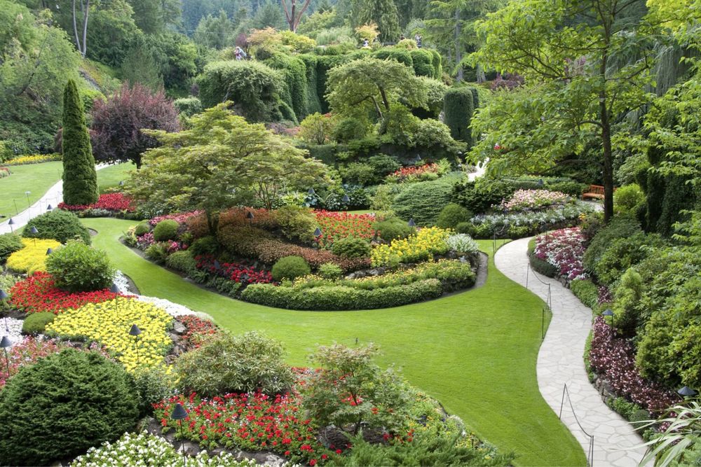 Озеленение под ключ, Посадка деревьев — Гарантия от 1 года!