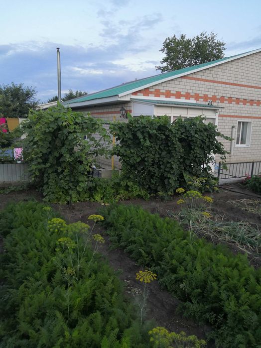 Продам срочно дом