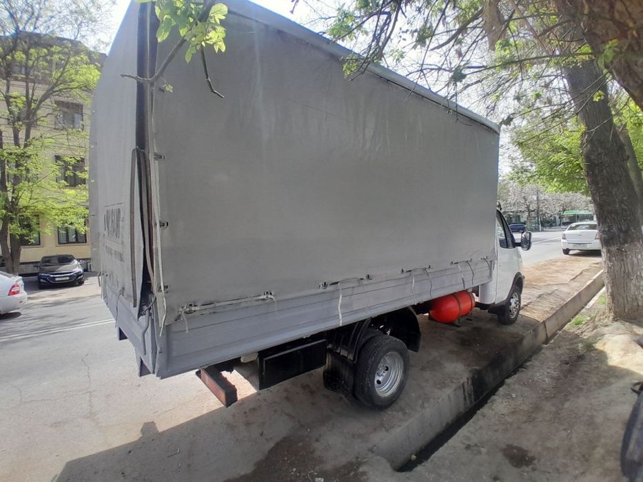 Газел сотилади 7000