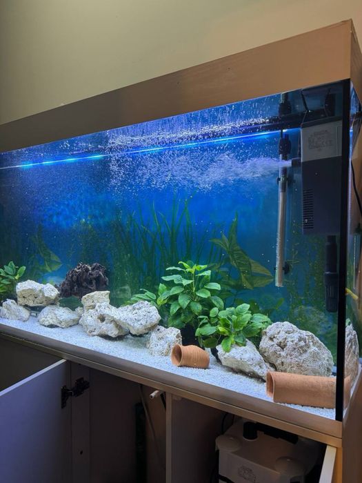 Аквариум 150 см 370л с тумбой и фильтром Atman AT-3339S