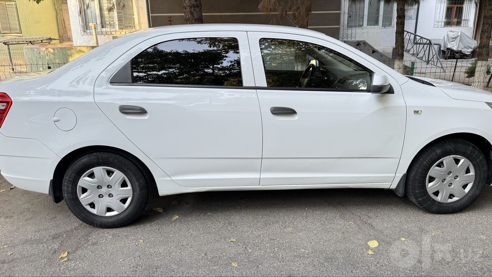 Tozza Cobalt, 2019, 2-позиса
