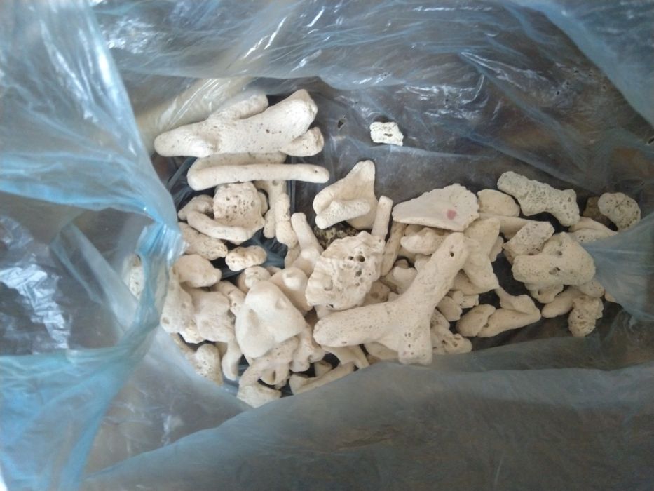 Аквариумна Декорация, Аквариумни помпи (филтри) и Нагреватели