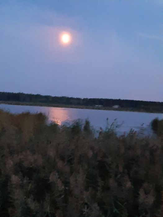Продам дачу в обществе ,,Легенда,, оз.Пё