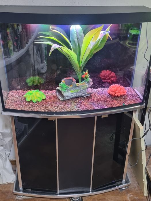 Аквариумы в Зоомагазине Кеша