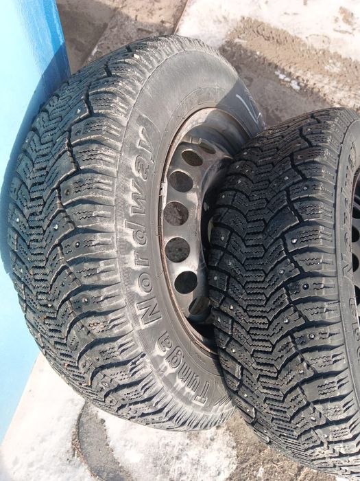 Зимняя резина tunga norbway