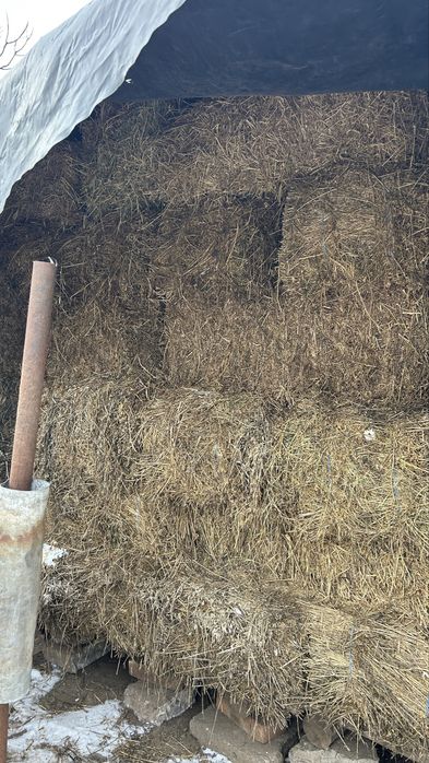 Vand baloti de lucerna