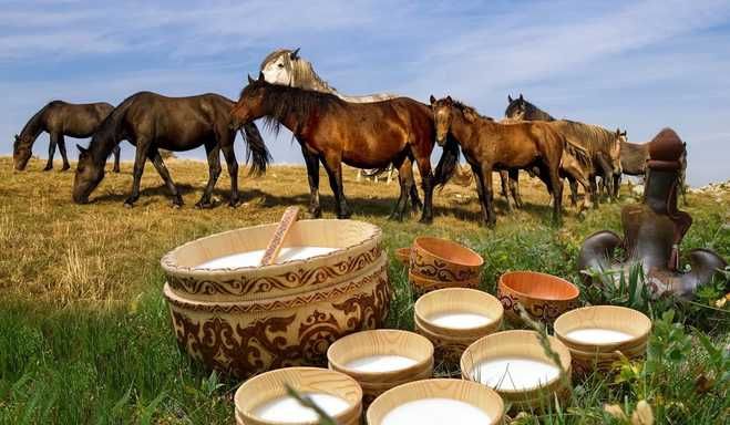 Продажа Қымыз, Кумыс, Саумал