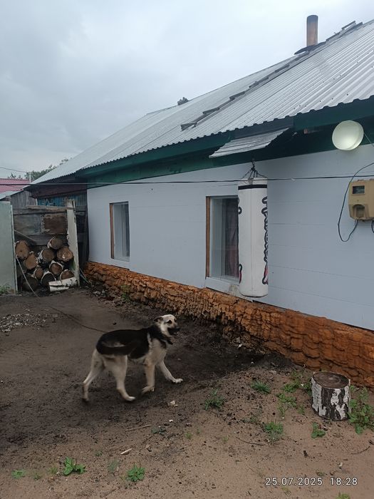 Обмен на общежитие  1/2  только обмен