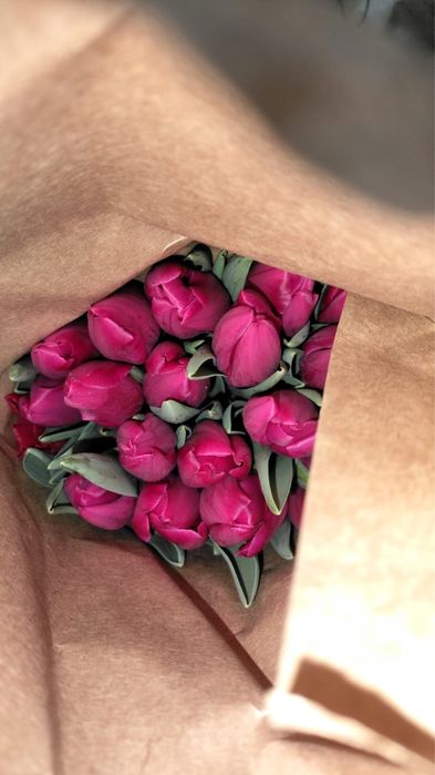 Цветы Тюльпан ОПТОВАЯ ЦЕНА