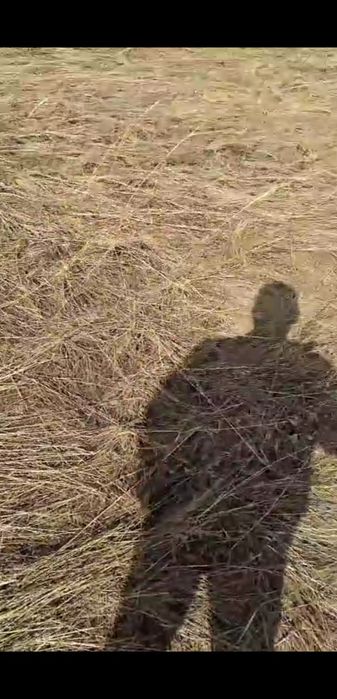 Участок 20 соток