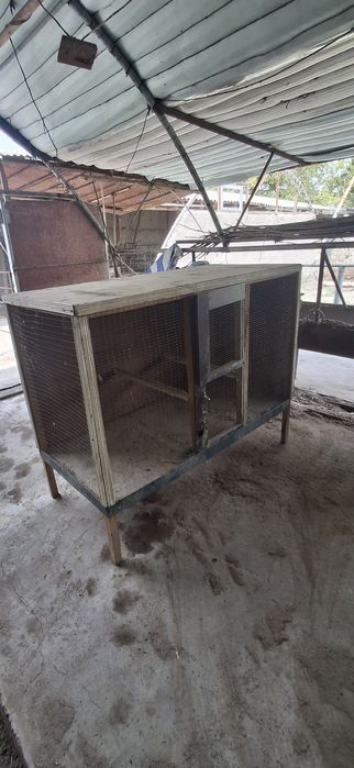 Qush va  tovuqlar uchuk  katak