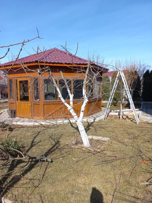 Садовник. Обрезка деревья.