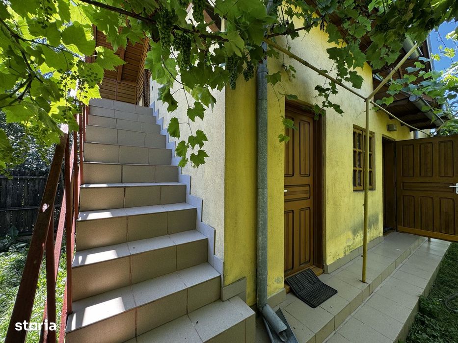 Casă Costești sat Zmei