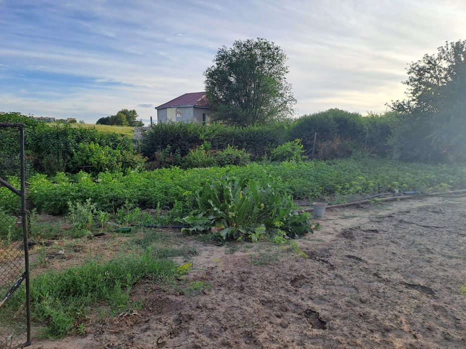 Земельный участок