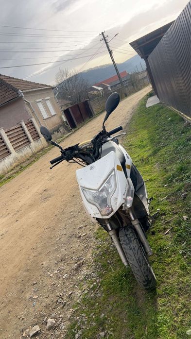 Scuter 49 centimetri cubi