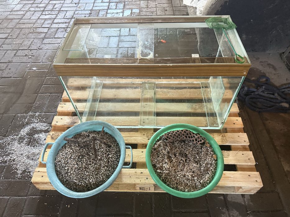 Аквариум большой