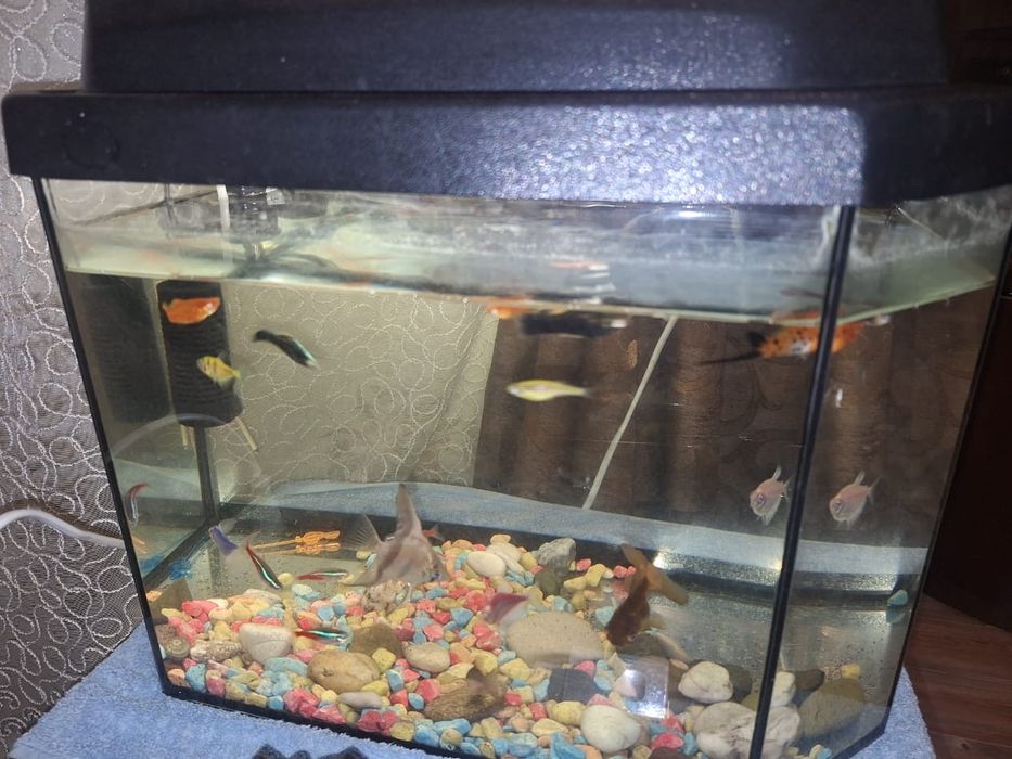 Продам аквариум 25литр