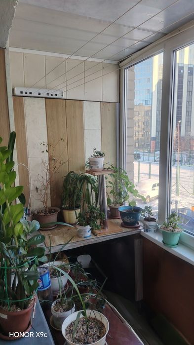 3-х комнатная квартира