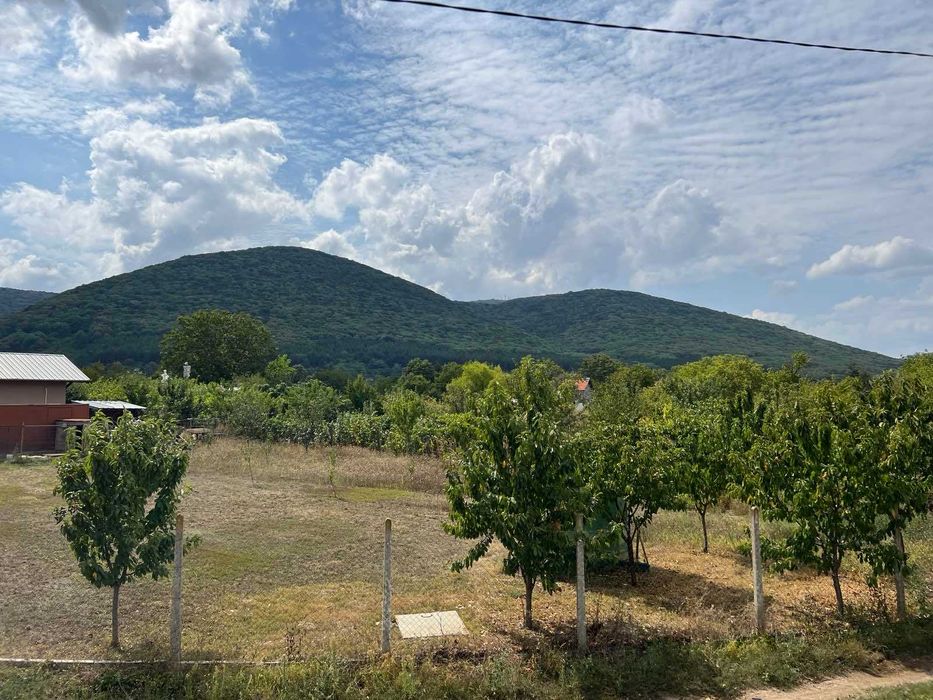 Продава се Парцел в Търговище, Вилна зона - 1364 кв.м за 36 €/кв.м - Снимка #4