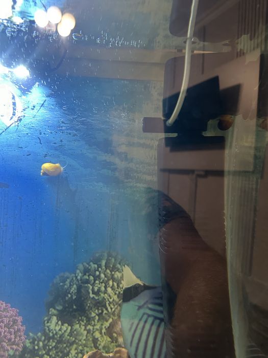 Продам аквариум atman cr-900