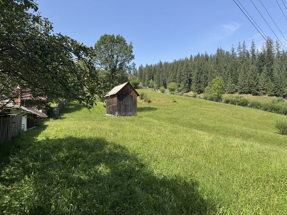 Tren de vanzare - Campulung Moldovenesc