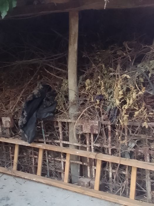 Oʻtin sotiladi Bir Tilachka