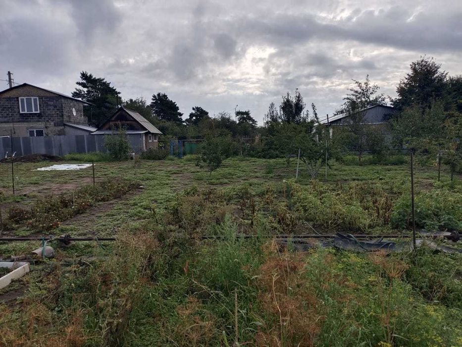 Продам дачу Садоводство «Сосновый Бор»