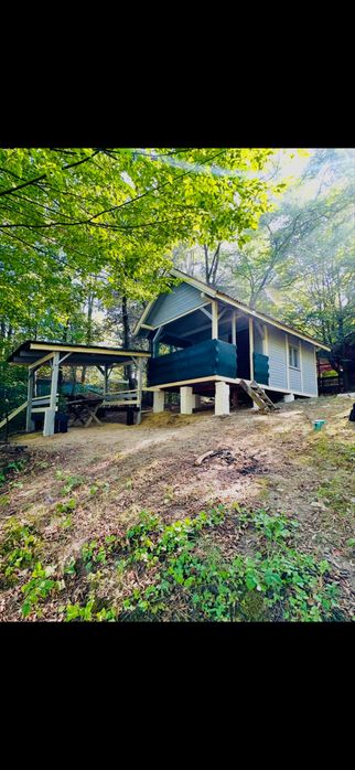 Cabana/Casuta din lemn Lac mujdeni cu ponton privat pe lac !
