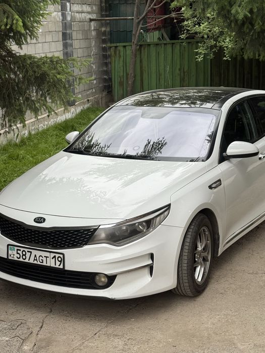 Все виды автостекол